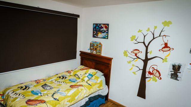 Pulsi cuarto 1 1