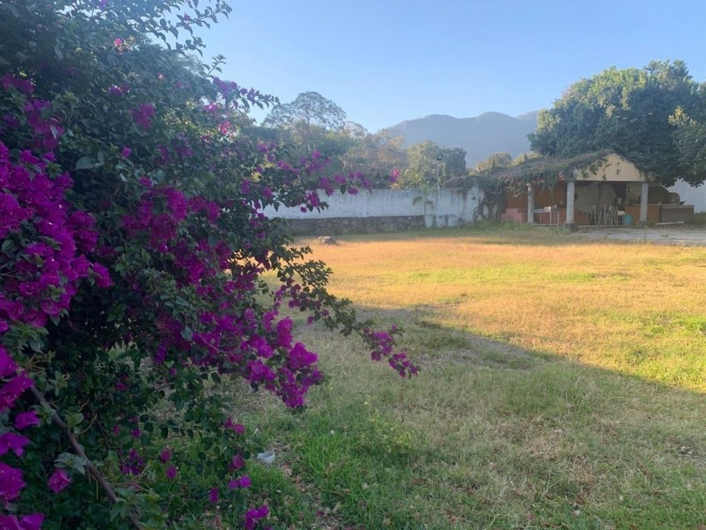 Terreno en Renta en Lo de Lamedo Tepic Nayarit 3
