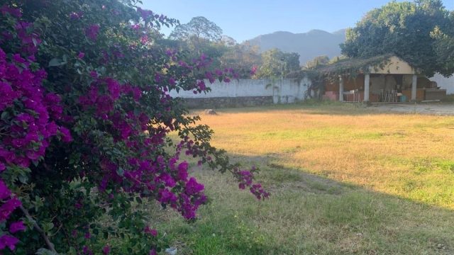 Terreno en Renta en Lo de Lamedo Tepic Nayarit 3
