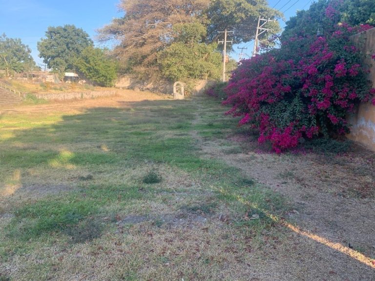 Terreno en Renta 450 M2 en Lo de Lamedo Tepic Nayarit