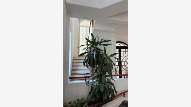 Casa en Venta y Renta en Privada San Joaquin Carmen Campeche 2
