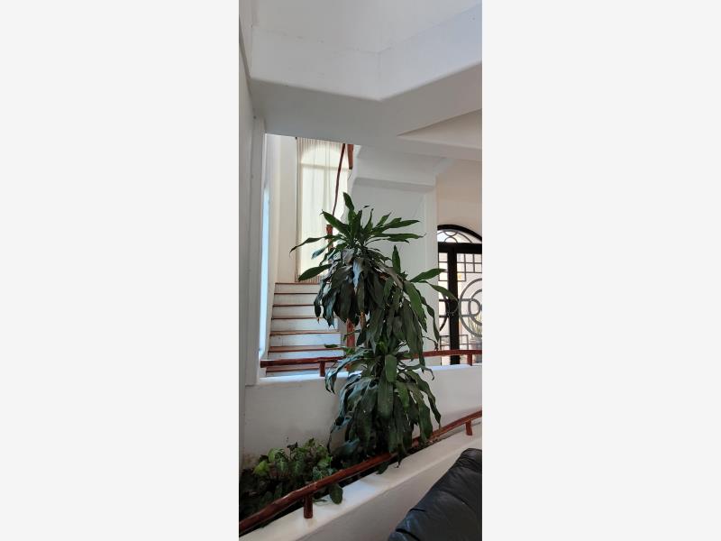 Casa en Venta y Renta en Privada San Joaquin Carmen Campeche 2