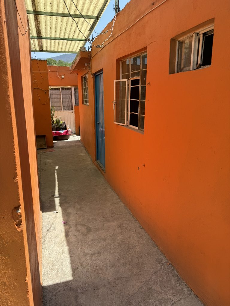 IMG 0011
