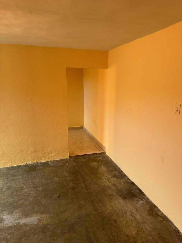 IMG 0015