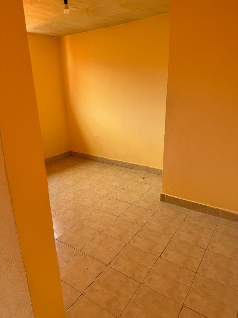 IMG 0016