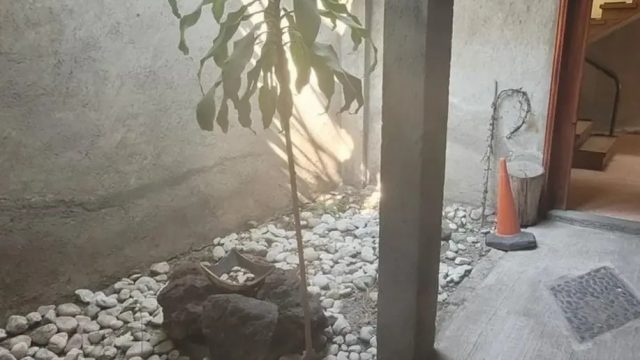 Casa en Renta en Angelopolis Puebla Puebla 6
