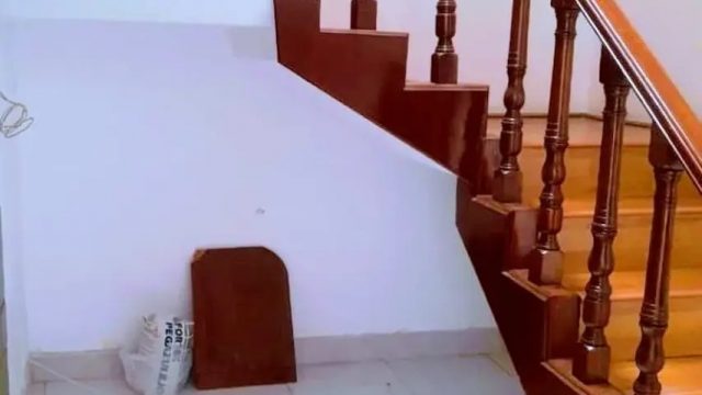 Casa en Renta en Campestre Coyoacan Coyoacan Ciudad de Mexico 7