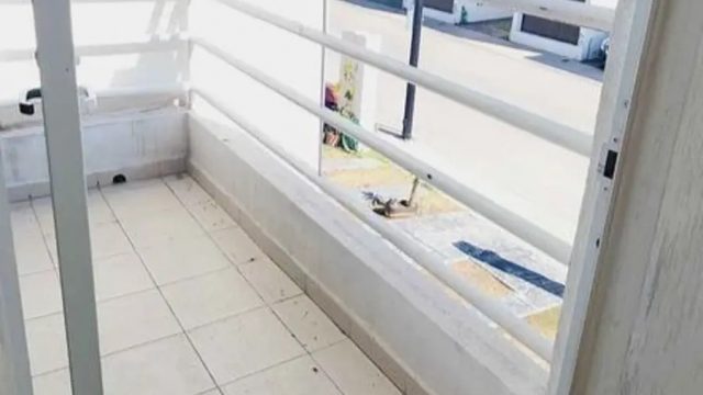 Casa en Renta en La Vida Corregidora Queretaro 4