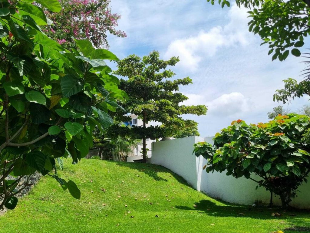 Casa en Renta en Lomas de Cuernavaca Temixco Morelos 7