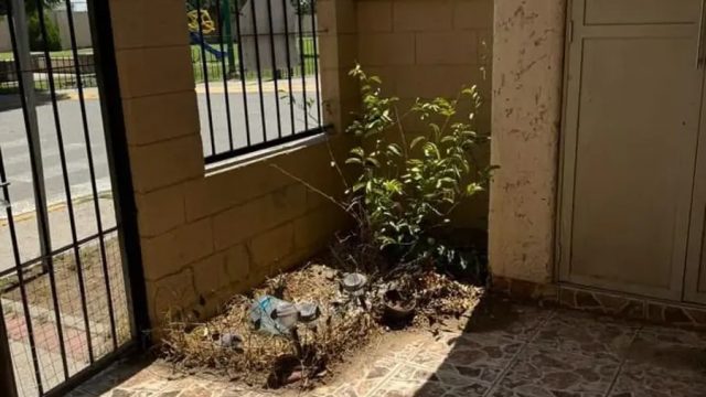 Casa en Renta en Tres Torres Juarez Chihuahua 10