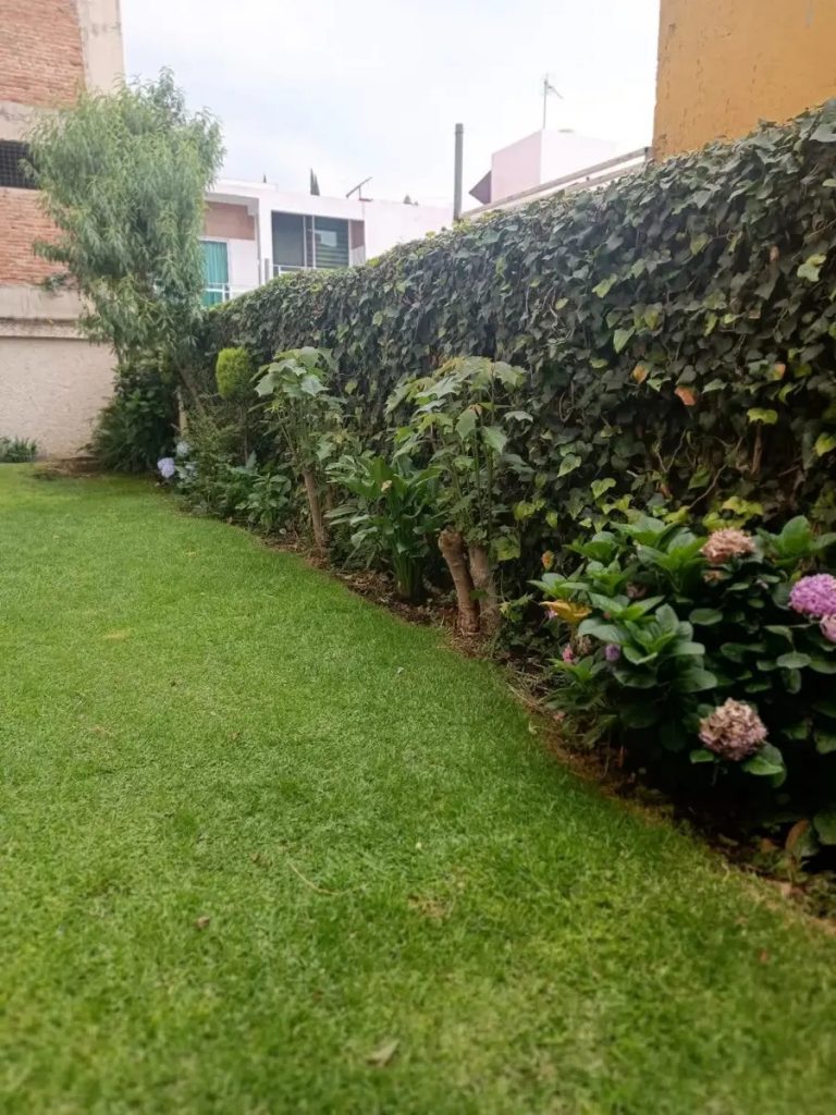 Departamento en Renta en Fuentes de Satelite Atizapan de Zaragoza Mexico 12