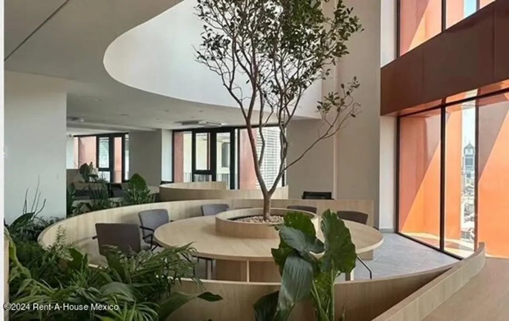 Departamento en Renta en Juarez Cuauhtemoc Ciudad de Mexico 10