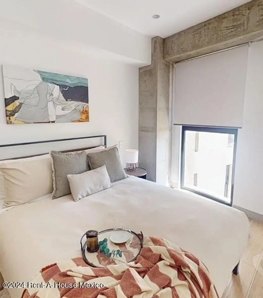 Departamento en Renta en Juarez Cuauhtemoc Ciudad de Mexico 7