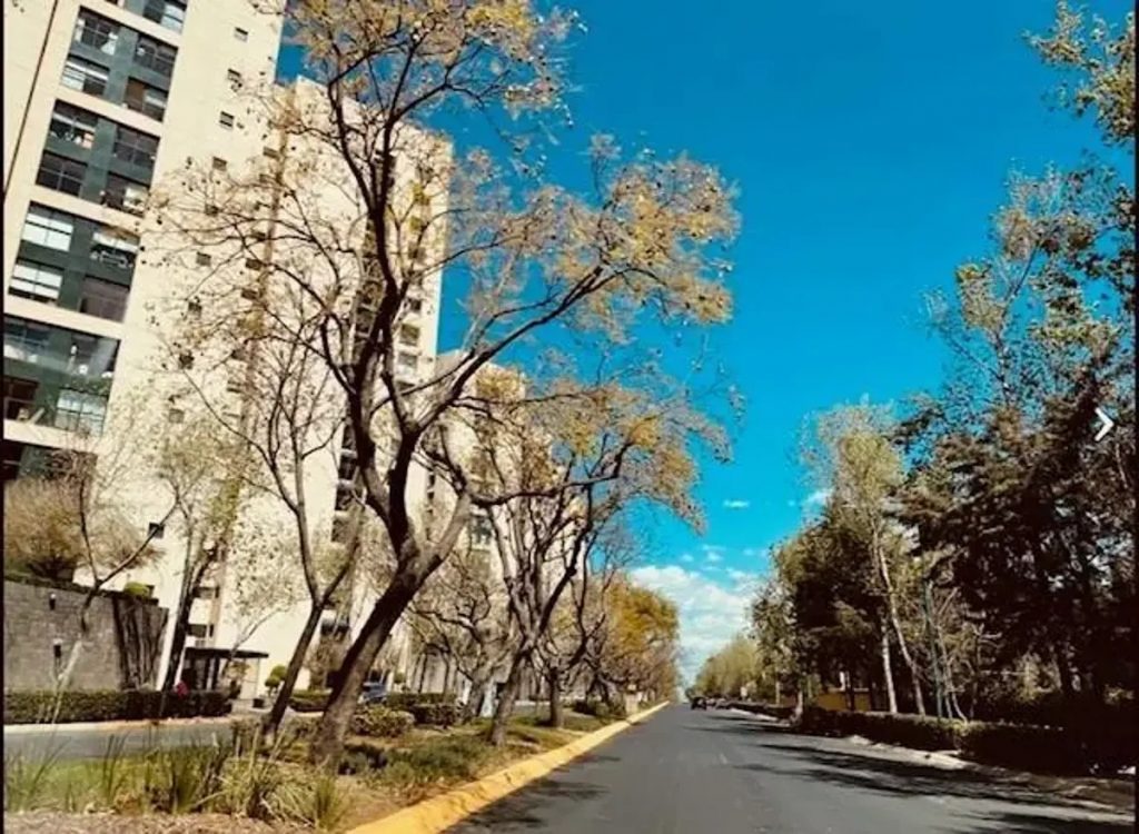 Departamento en Venta y Renta en Santa Fe La Loma Alvaro Obregon Ciudad de Mexico 16