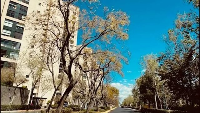 Departamento en Venta y Renta en Santa Fe La Loma Alvaro Obregon Ciudad de Mexico 16