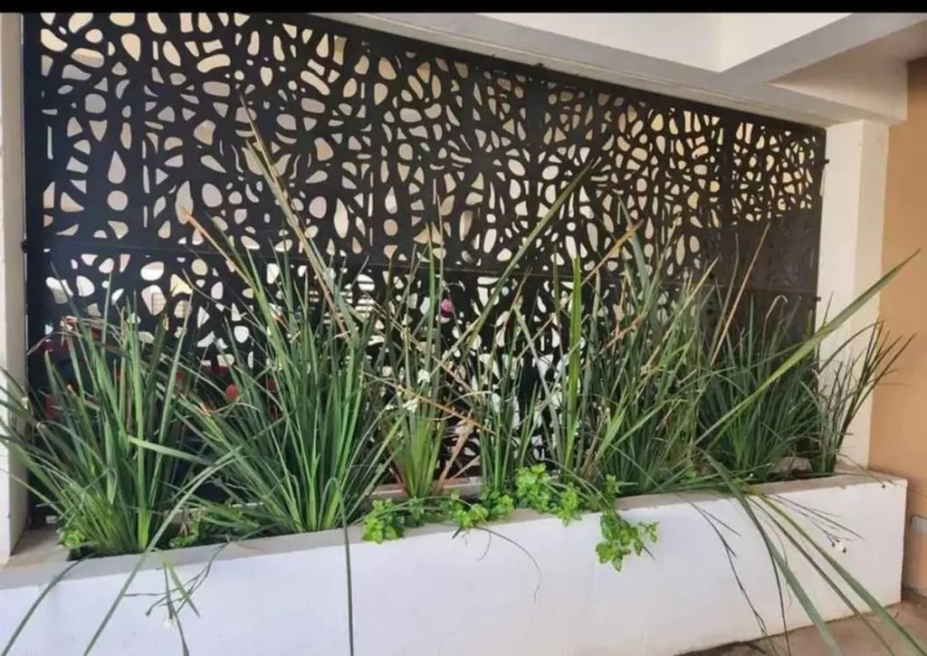 Casa en Renta en Moretto Residencial Juarez Chihuahua 14