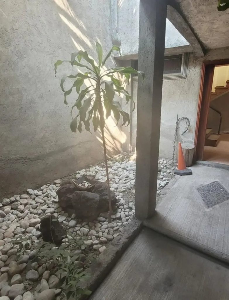 Casa en Renta en Reserva Territorial Atlixcayotl San Andres Cholula Puebla 2