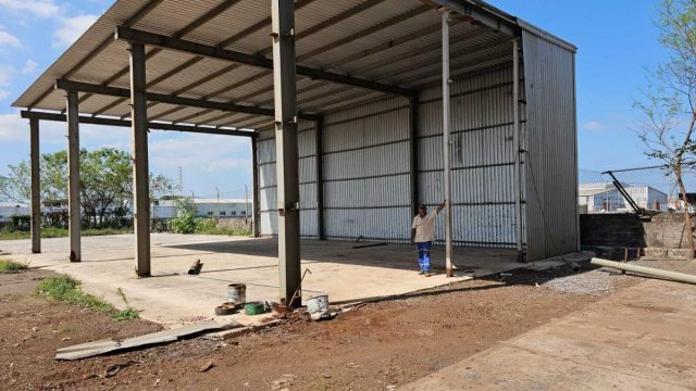 Terreno en Renta en Bruno Pagliai Veracruz Veracruz de Ignacio de la Llave 6
