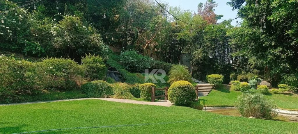 Terreno en Venta en Alpuyeca Xochitepec Morelos 10