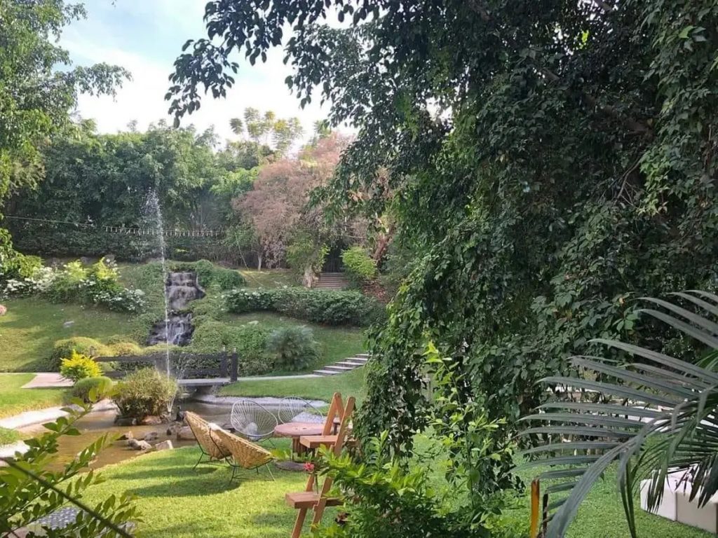 Terreno en Venta en Alpuyeca Xochitepec Morelos 17