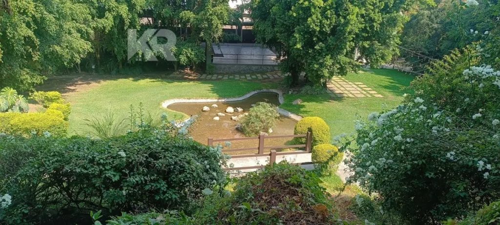 Terreno en Venta en Alpuyeca Xochitepec Morelos 3