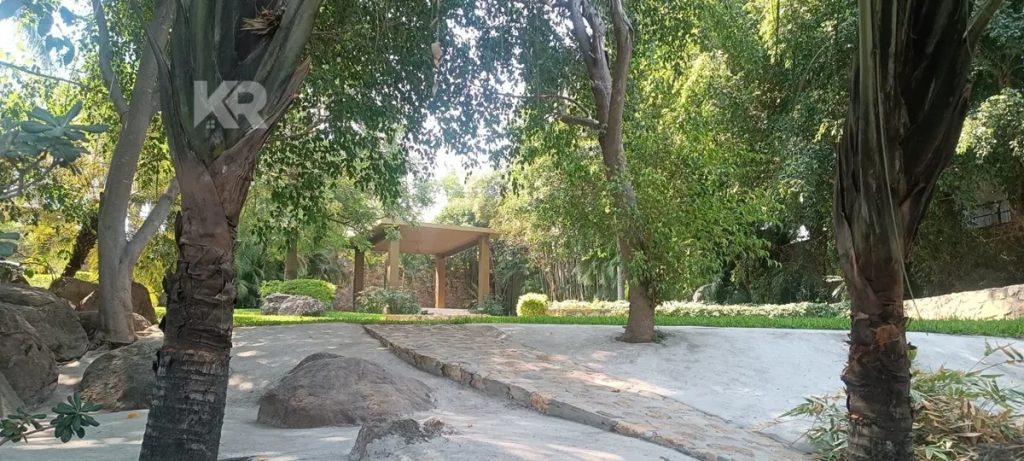 Terreno en Venta en Alpuyeca Xochitepec Morelos 5