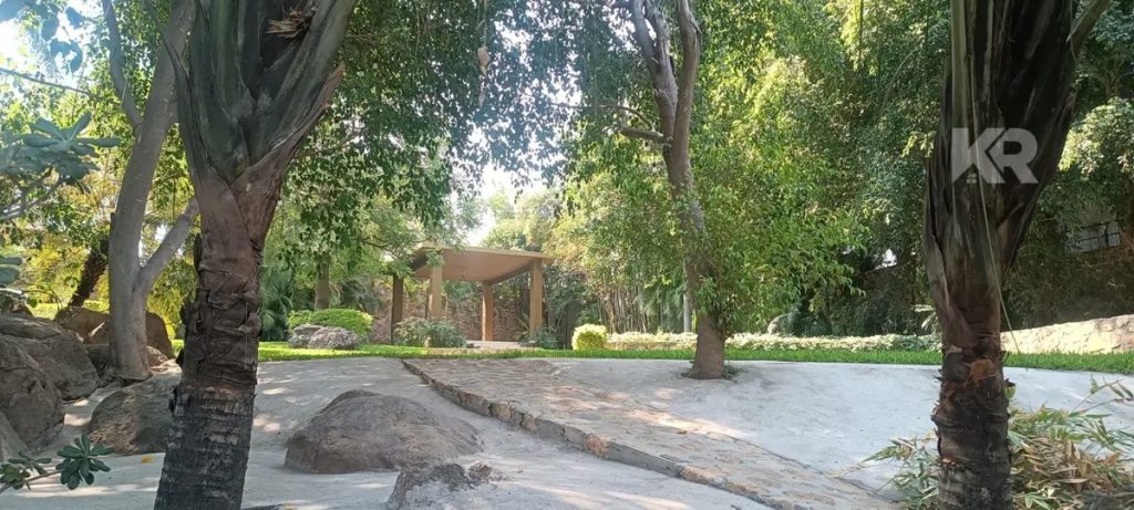 Terreno en Venta en Alpuyeca Xochitepec Morelos 6