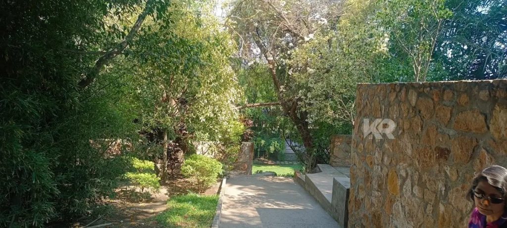 Terreno en Venta en Alpuyeca Xochitepec Morelos 7