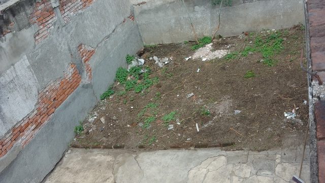 foto4 boturini