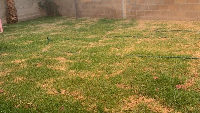 Casa en Renta en Residencial Palma Real Torreon Coahuila de Zaragoza 2