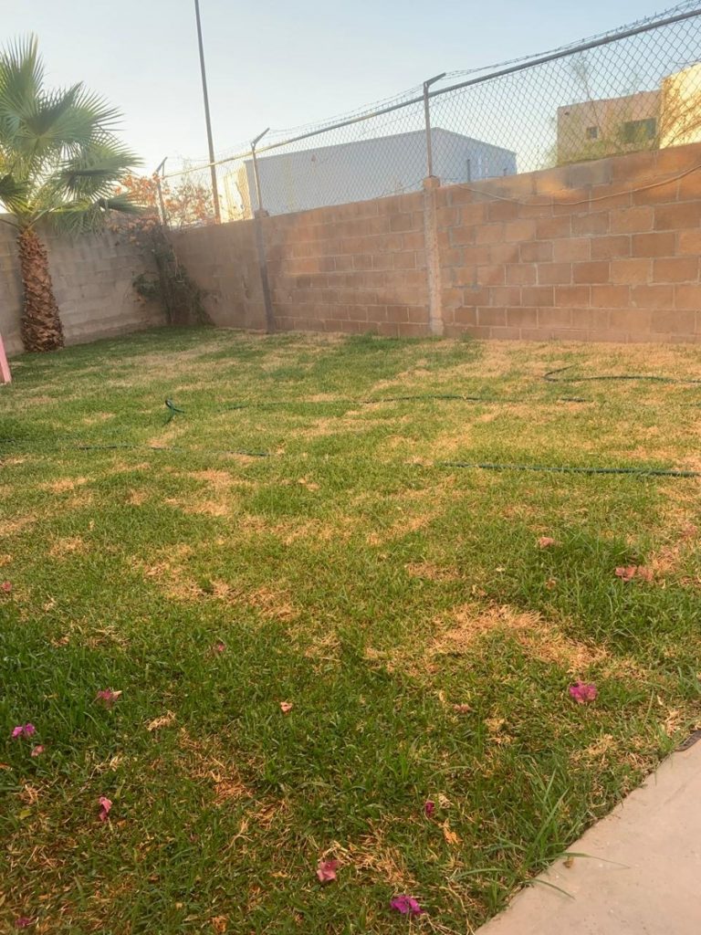 Casa en Renta en Residencial Palma Real Torreon Coahuila de Zaragoza 2