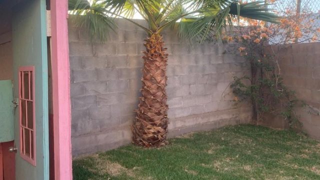 Casa en Renta en Residencial Palma Real Torreon Coahuila de Zaragoza 4