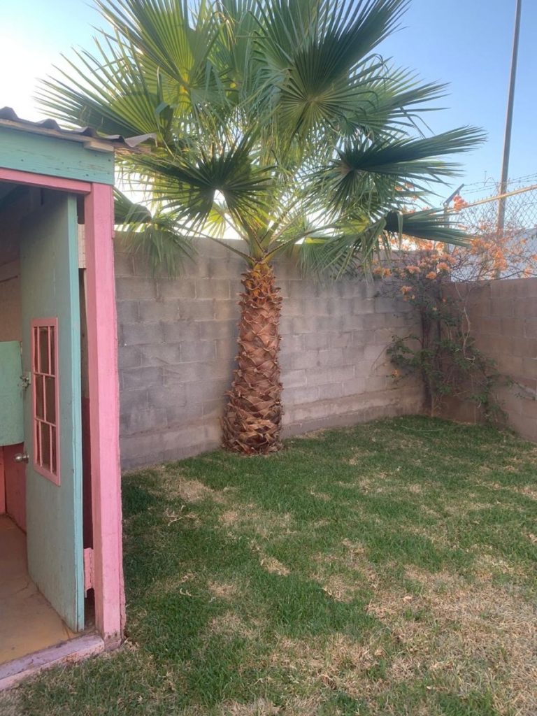 Casa en Renta en Residencial Palma Real Torreon Coahuila de Zaragoza 4