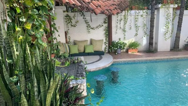 Departamento en Renta en Del Valle San Pedro Garza Garcia Nuevo Leon 18