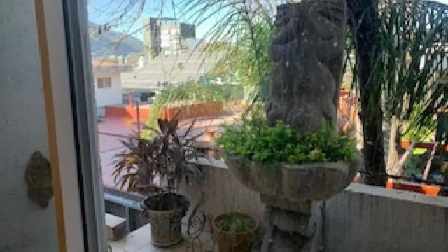 Departamento en Renta en Del Valle San Pedro Garza Garcia Nuevo Leon 3