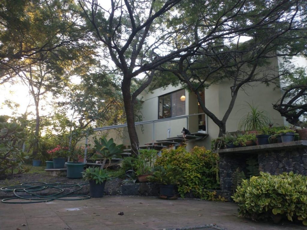 Departamento en Renta en Santo Domingo Ocotitlan Tepoztlan Morelos 11