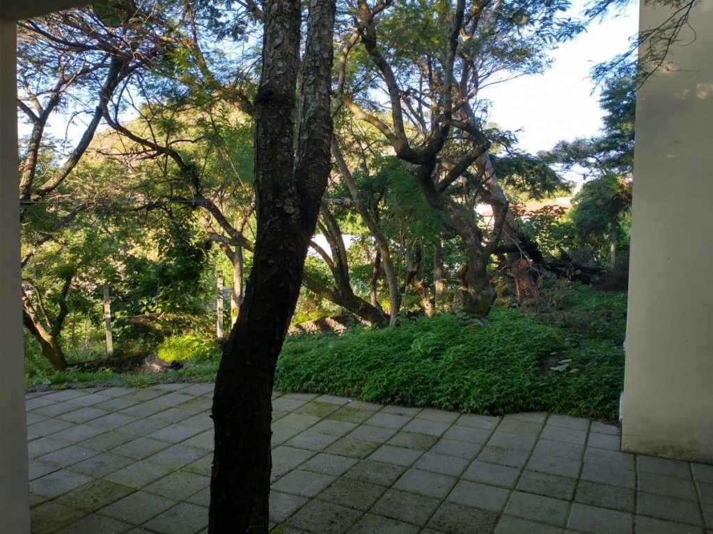 Departamento en Renta en Santo Domingo Ocotitlan Tepoztlan Morelos 15