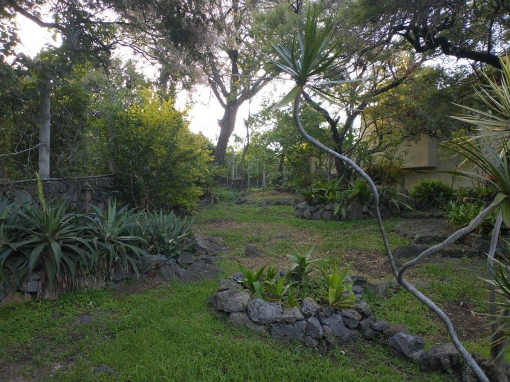 Departamento en Renta en Santo Domingo Ocotitlan Tepoztlan Morelos 6