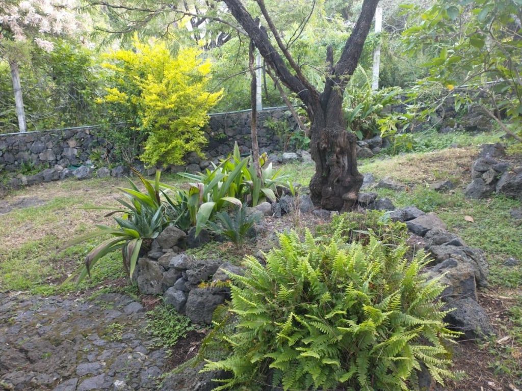 Departamento en Renta en Santo Domingo Ocotitlan Tepoztlan Morelos 7