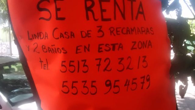 WhatsApp Image 2024 09 07 at 19.04.56 4