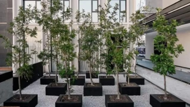 Departamento en Renta en Lomas de Angelopolis San Andres Cholula Puebla 4