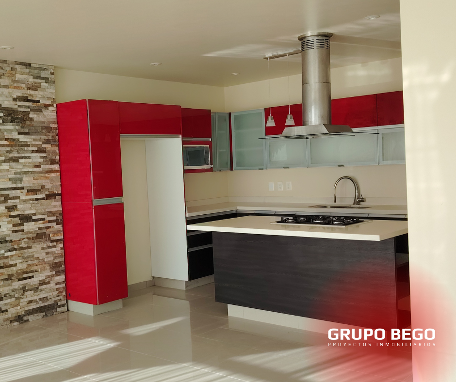 Diseno-sin-titulo-16