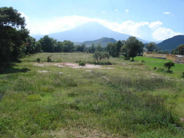1407953120TEV109