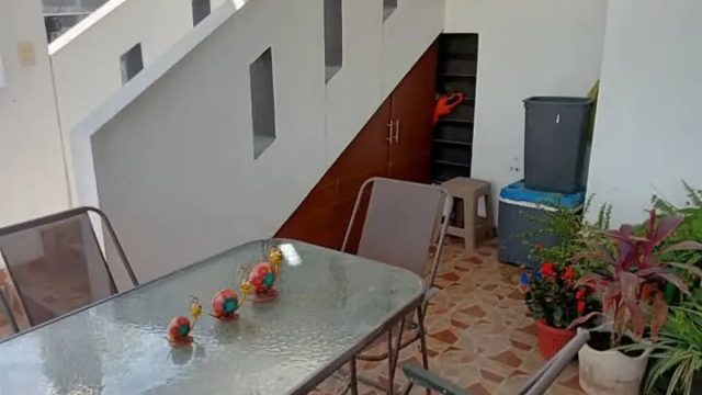 Casa en Venta en Valle Verde Tercer Sector Monterrey Nuevo Leon 5