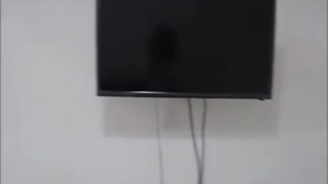 IMG 20250524 WA0005