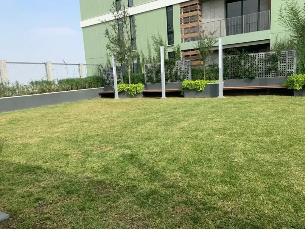 Departamento en Renta en Centro Monterrey Nuevo Leon 3
