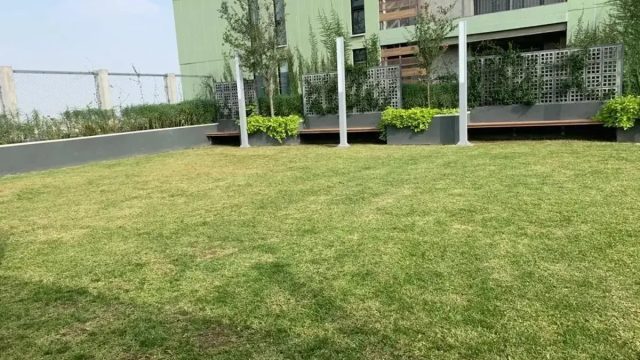 Departamento en Renta en Centro Monterrey Nuevo Leon 3