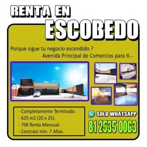 Local con Ubicación Inigualable en Av Raúl Salinas, Escobedo.