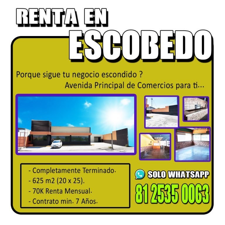 Local con Ubicación Inigualable en Av Raúl Salinas, Escobedo.