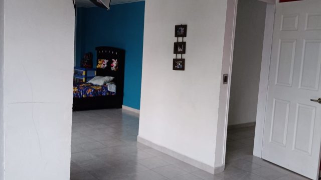 1000054955